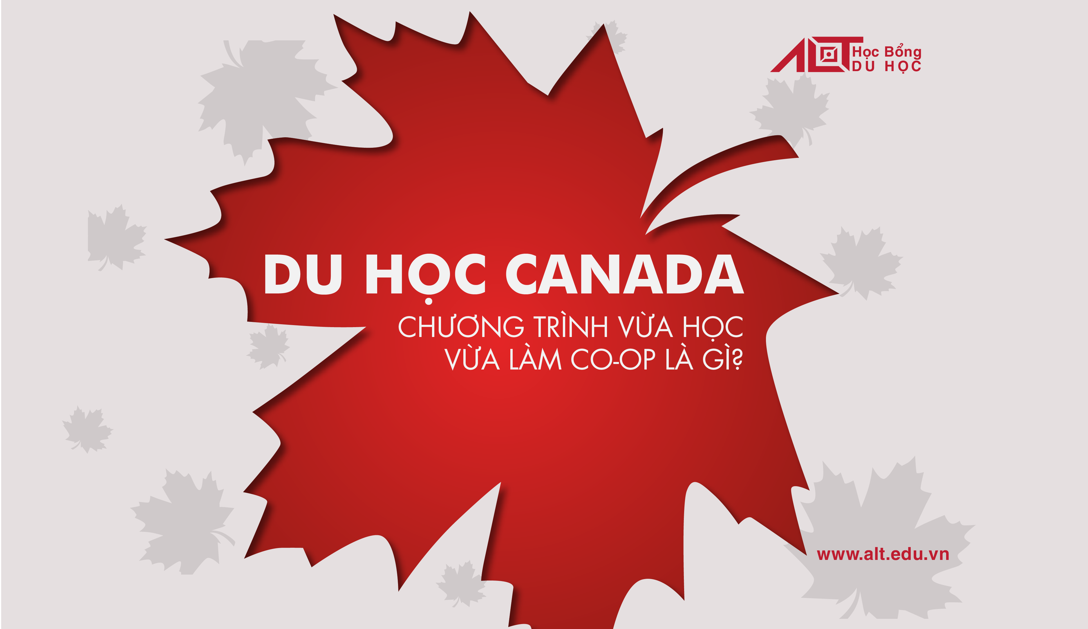 Du học Canada và chương trình Co-op