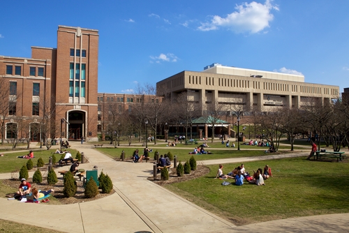 Depaul University: Trường Đại Học Với Môi Trường An Toàn Và Trên 90% Sinh Viên Có Việc Làm Sau Khi Tốt Nghiệp
