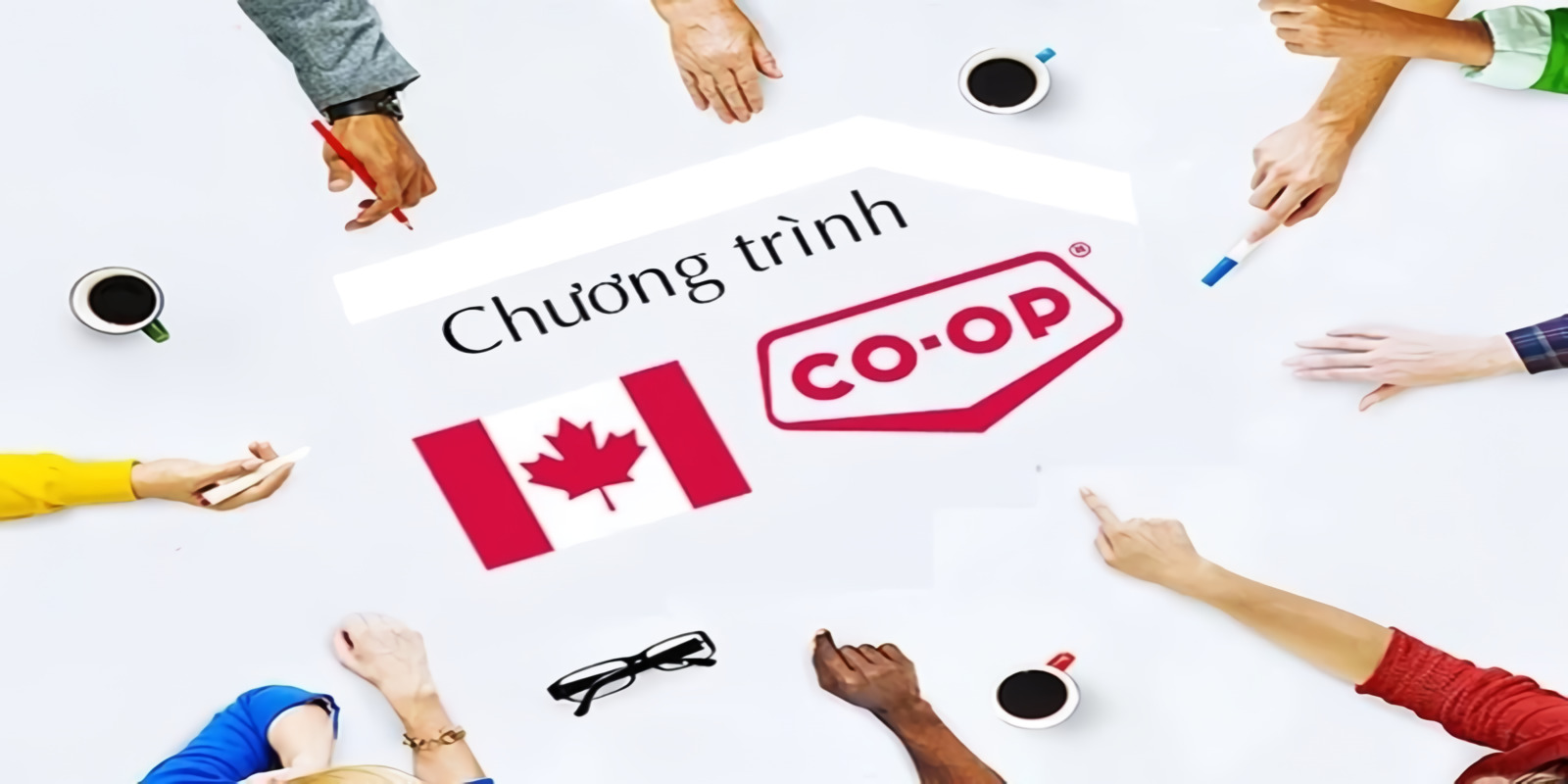 Nên Chọn Du Học Co-Op Canada Hay Du Học Miễn Học Phí Đức?