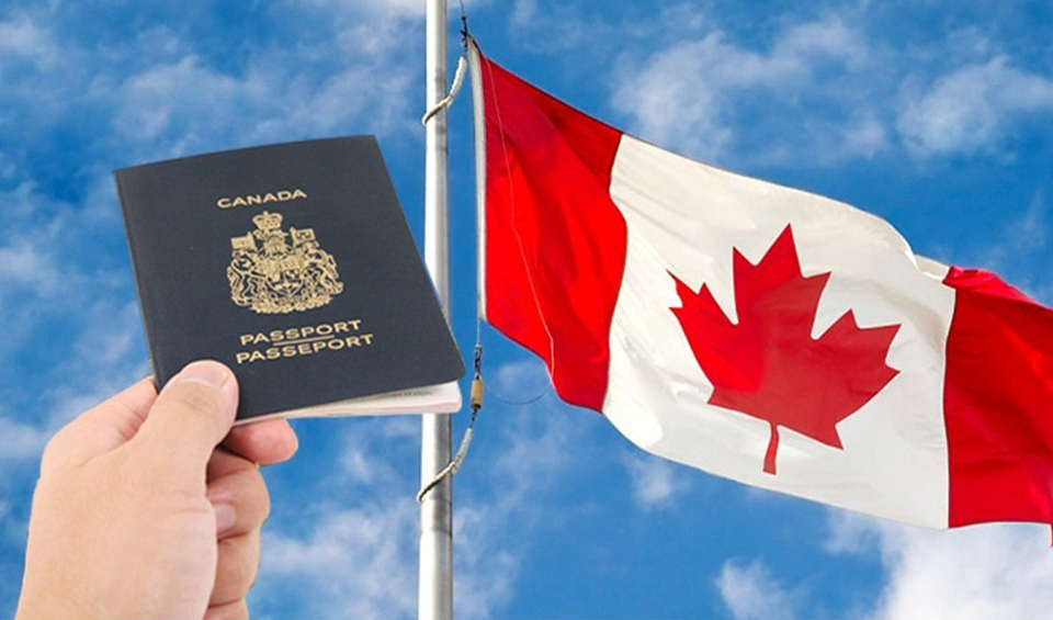 Lộ Trình Chuyển Đổi Từ Thị Thực Sinh Viên Đến Thẻ Xanh Canada