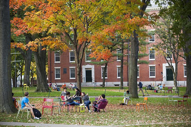 Hướng Dẫn Toàn Diện Về Thư Giới Thiệu Khi Nộp Đơn Vào Harvard